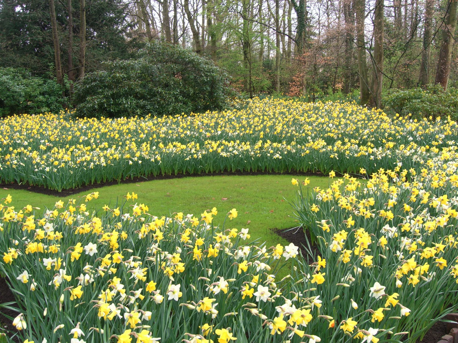 Netherlands Keukenhof
